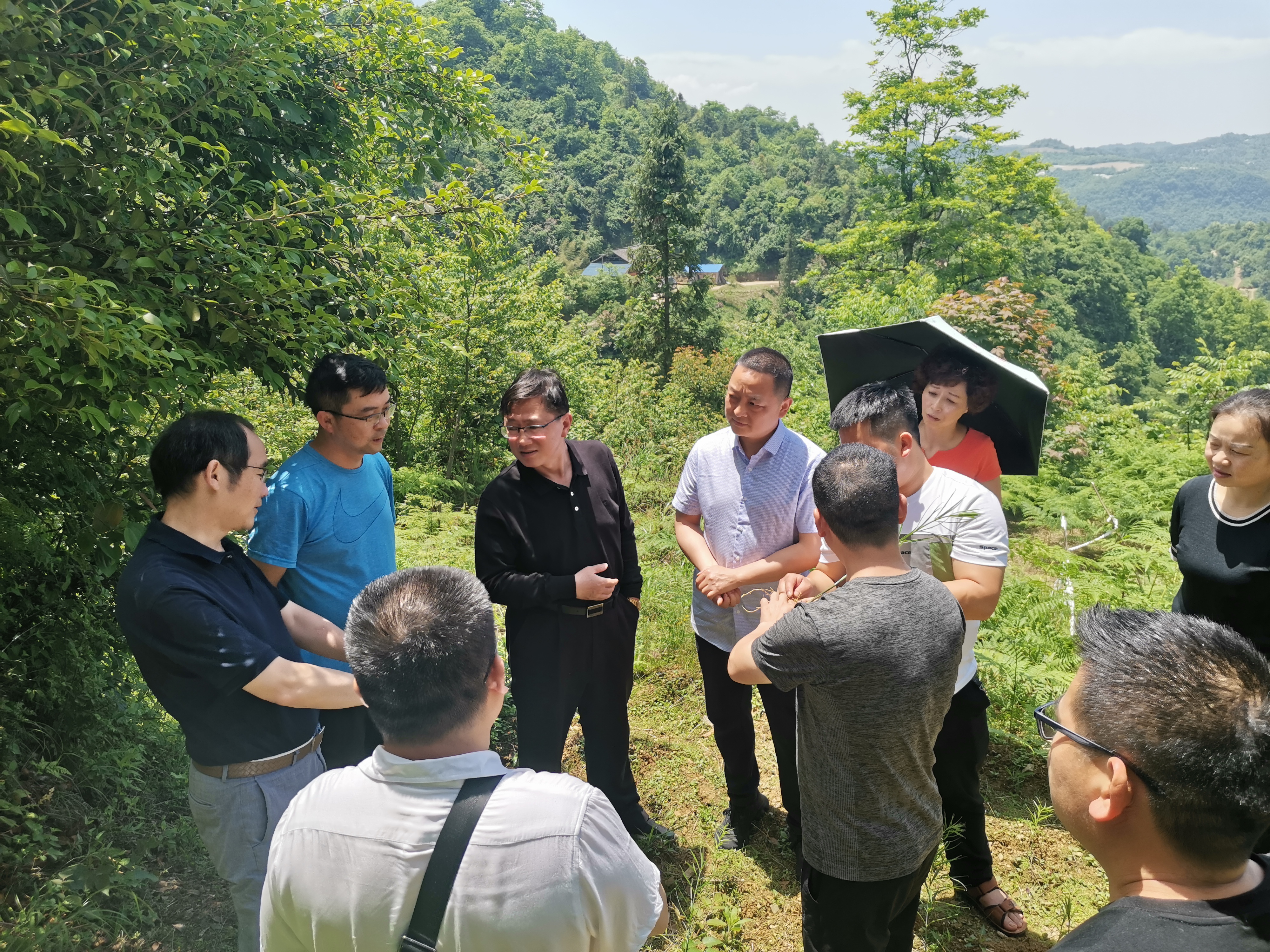 王茂爱赴镇远县帮扶大地乡中药材产业发展